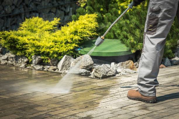Best Sidewalk and Walkway Pressure Cleaning in Harrisonburg, VA
